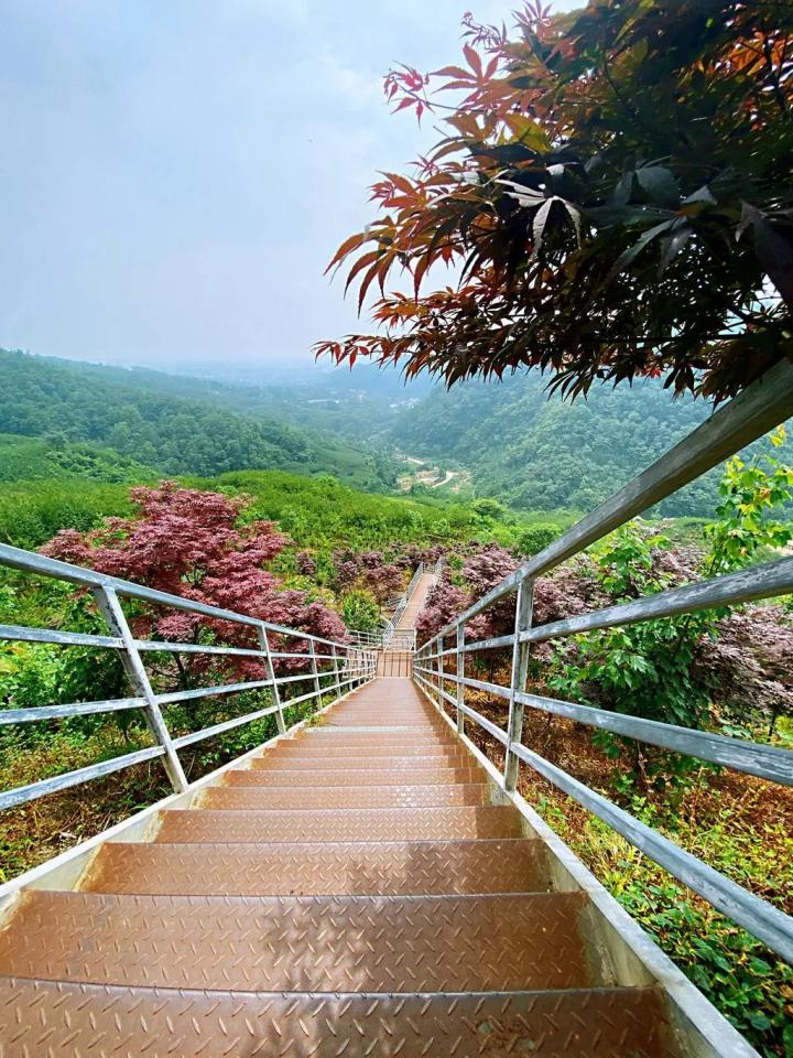 麓山温泉小镇最新动态揭秘，小巷深处的温泉奥秘