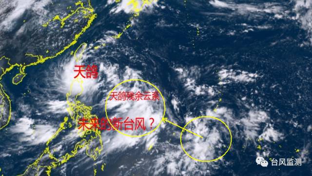 广东天鸽台风最新动态，多方观点分析与个人立场表达