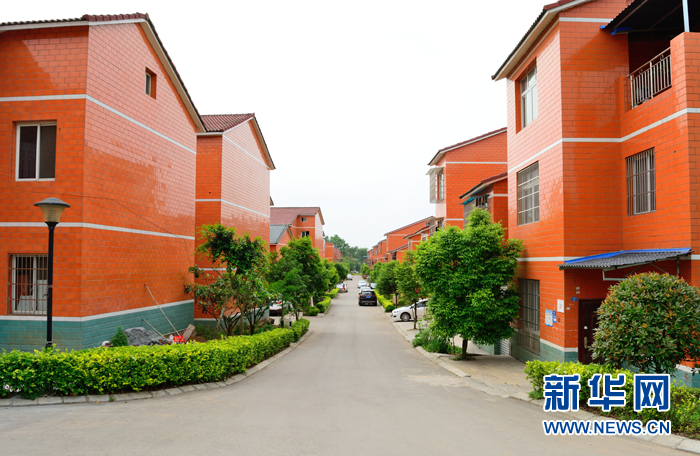 新兴镇孔雀村最新动态，探寻自然美景，重拾内心宁静之旅