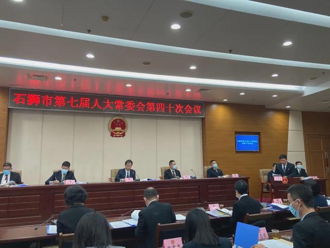石狮市政府最新任免，详细解读任命步骤指南